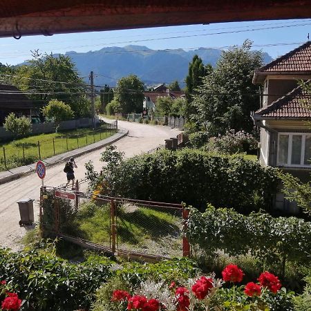 Vila Ovi Hotel Bran  Esterno foto