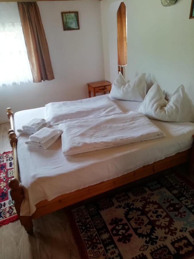 Vila Ovi Hotel Bran  Esterno foto