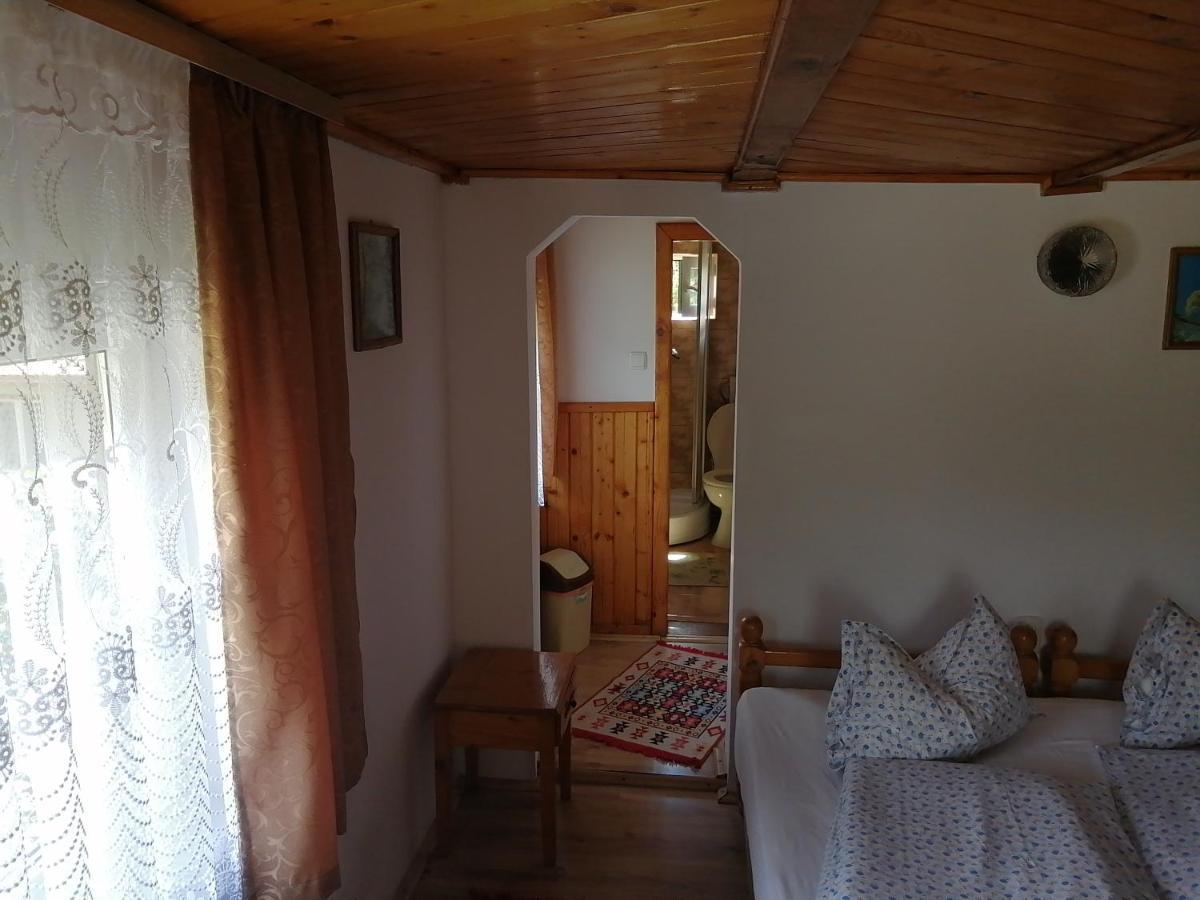 Vila Ovi Hotel Bran  Esterno foto