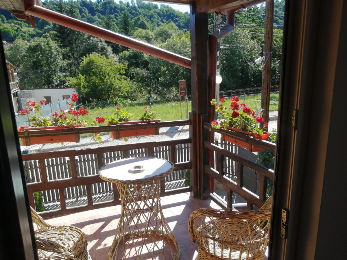 Vila Ovi Hotel Bran  Esterno foto